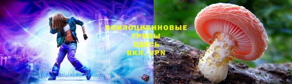 стаф Алексеевка
