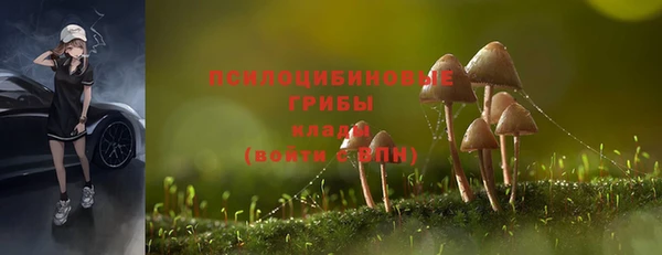 стаф Алексеевка