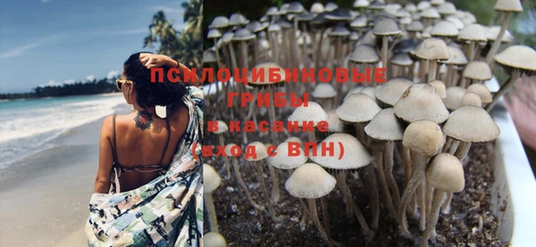 стаф Алексеевка