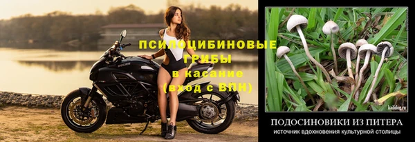 стаф Алексеевка