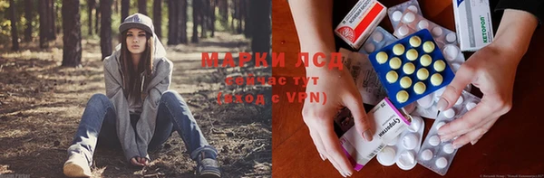 стаф Алексеевка