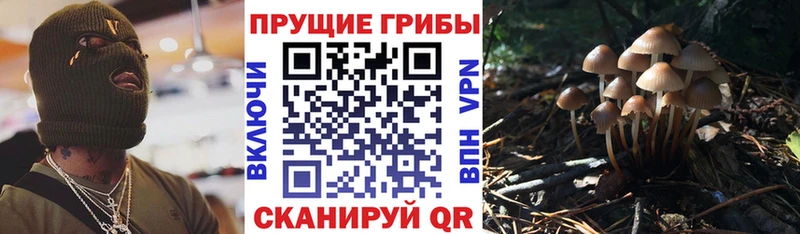 Псилоцибиновые грибы мухоморы  omg   Анадырь  купить закладку 